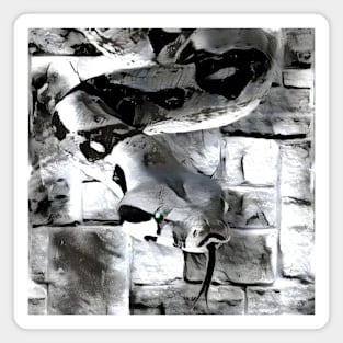 Snake Black and White Spray Paint Wall Magnet